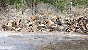 Sawn firewood in the yard