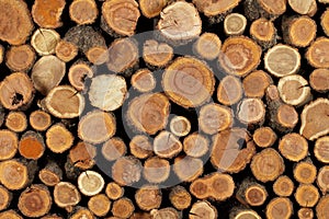 Sawn folded logs