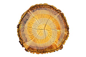 A sawn log