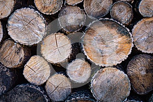 Sawn logs of different diameters