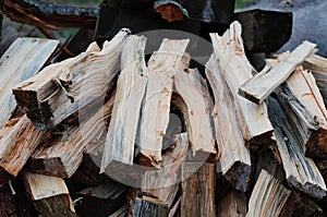 Sawn logs and stump of a sawn tree on the grass.