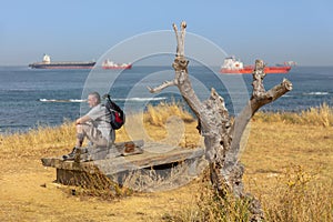 A sawn-off tree. Behind it is a lookout point on the Strait of Gibraltar with a hiker.