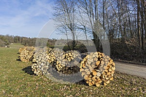 Sawn, split wood, trunks lie in the meadow