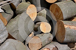 Sawn timber photo