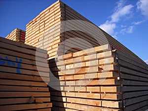 Sawn timber photo