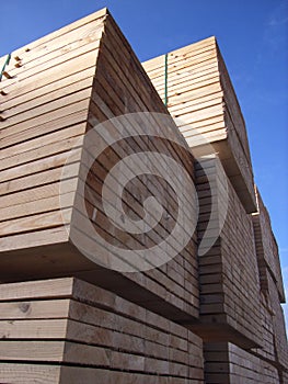 Sawn timber photo