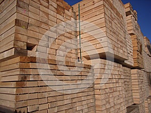 Sawn timber photo