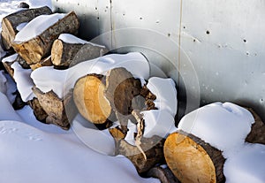 Sawn trunks of trees in the village