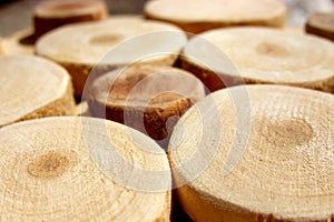 Sawn wood circles. photo