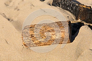 Sawn wood log in the sand on a beach next to burnt remains of campfire