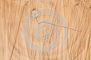 Sawn wood texture as background