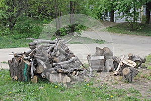 Sawn woods located in bulk on grassy surface