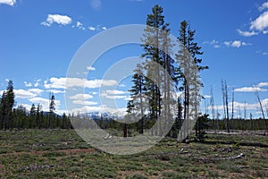 Sawtooth Mountains - Idaho