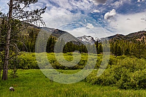 Sawtooth National Forest