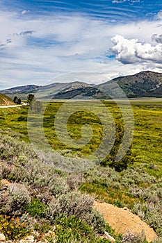 Sawtooth National Forest