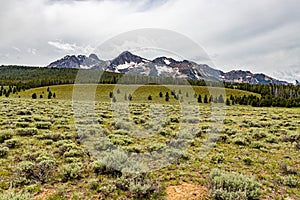 Sawtooth National Forest