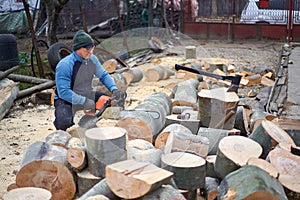 Sawyer bucking logs