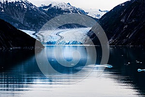 Sawyer Glacier Alaska Tracy Arm Fjord Iceberg