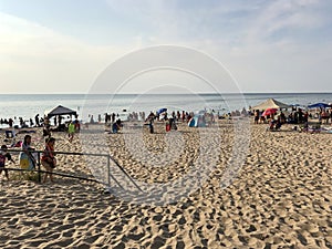 Beach at warren dunes state park