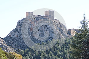 Almohad castle of Sax located on top of a large rock. Sax, Alicante, Spain photo