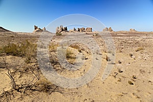 Saxaul and ruins of the ancient fortresses of Khorezm in the desert. Uzbekistan