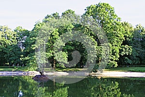 Saxon Garden - public park in the city center of Warsaw, Poland