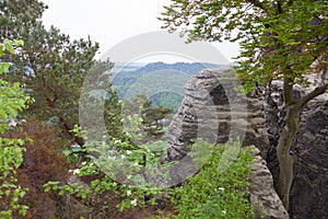 Saxon Switzerland National Park. Germany.