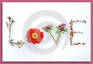 Say It With Flowers: Love