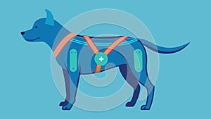 Say goodbye to slouching and back pain in your furry companion with this posturemonitoring harness that encourages photo