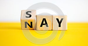 Say nay symbol. Turned a cube  changed the word \'say\' to \'nay\'.