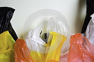 Say No To Plastic Bags - No More Plastic Concept isolated white background