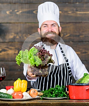 Say no to unhealthy food. Happy bearded man. chef recipe. Dieting organic food. Healthy food cooking. Mature hipster