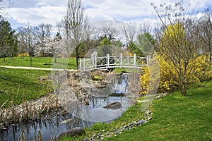 Sayen Park Spring Stream