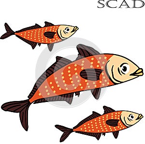 Scad fish color cartoon illustration.