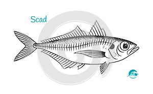 Scad hand-drawn illustration