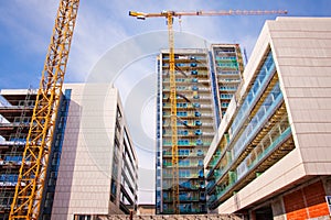 Scaffolds and cranes at construction site