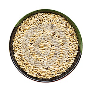 Scagliola canary seeds in round bowl isolated photo