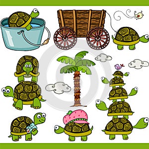 Turtle set digital elements