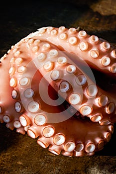 Scalded cooked big octopus, close-up of contracted octopus tentacles