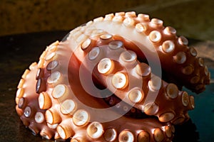 Scalded cooked big octopus, close-up of contracted octopus tentacles