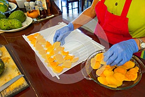 Scalded mango slices being prepared for dehydration