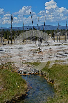 Scalding water flowing in a thermal desert at Upper Geyser Basin in Yellowstone National Park, Wyoming photo