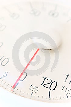 Scale detail photo