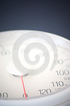 Scale detail photo