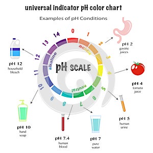 Scale of ph value for acid and alkaline solutions
