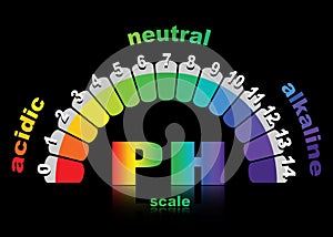 Scale of ph value for acid and alkaline solutions, infographic acid-base balance.