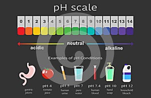 Scale of ph value for acid and alkaline solutions, infographic acid-base balance. scale for chemical analysis acid base.