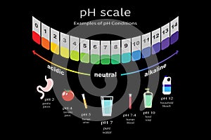 scale of ph value for acid and alkaline solutions, infographic acid-base balance. scale for chemical analysis acid base