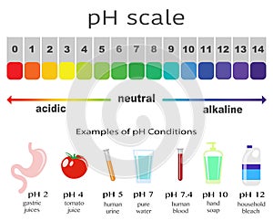 Scale of ph value for acid and alkaline solutions