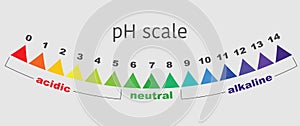 Scale of ph value for acid and alkaline solutions, vector isolated